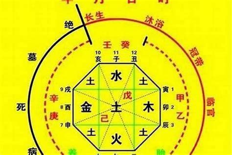 五行喜忌查询|八字喜用神在线查询器,在线查五行喜神忌神